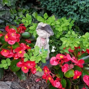 Meet your Posher, Denise